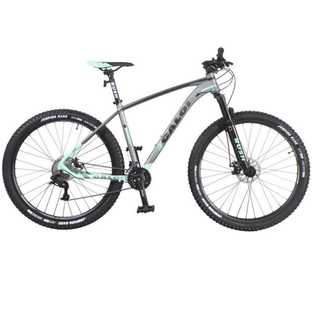 CALOI BICICLETA GTR 29 LARGE