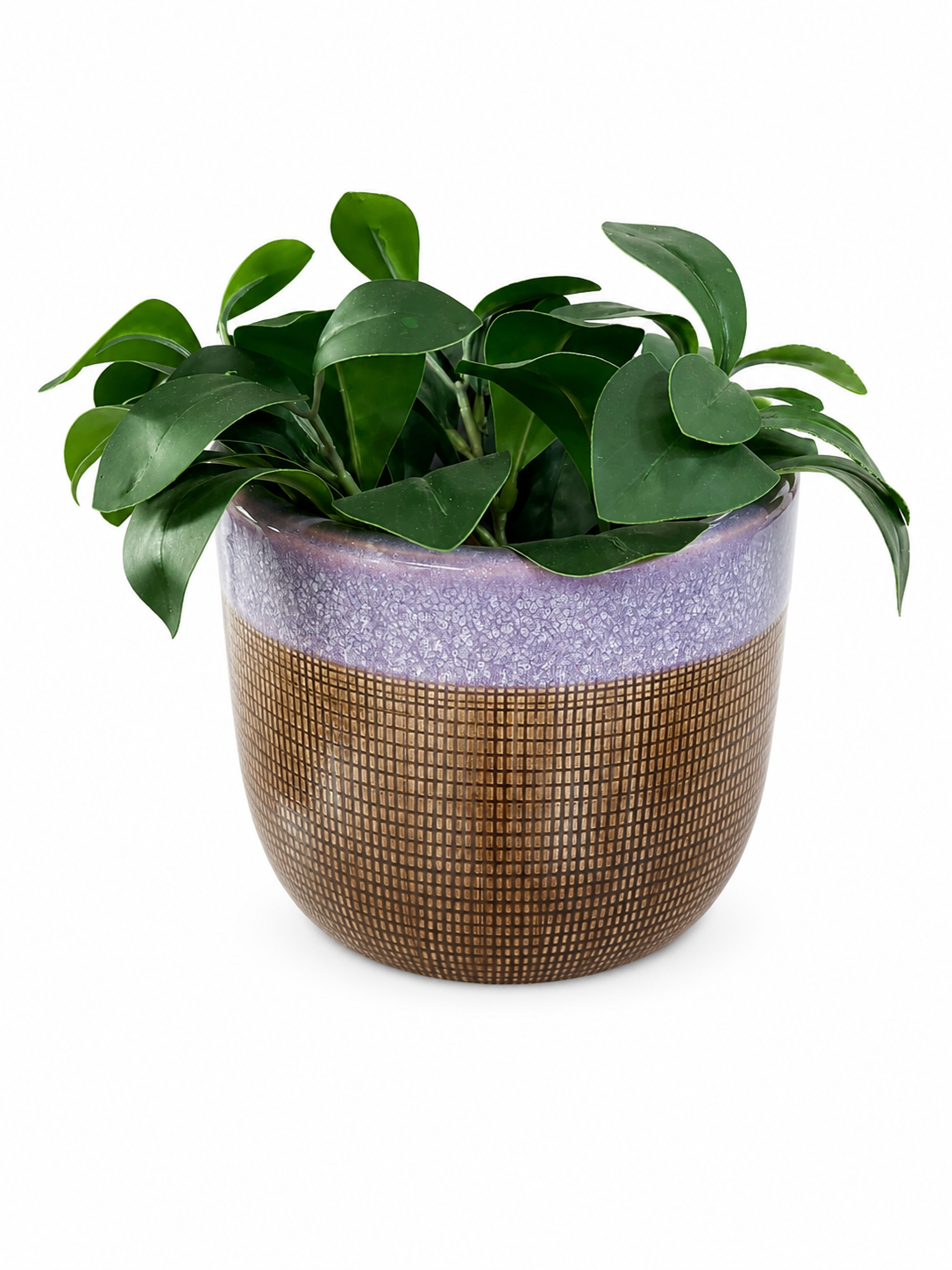 DH PLANTERA CERAMICA 16CM + HOJAS VERDES