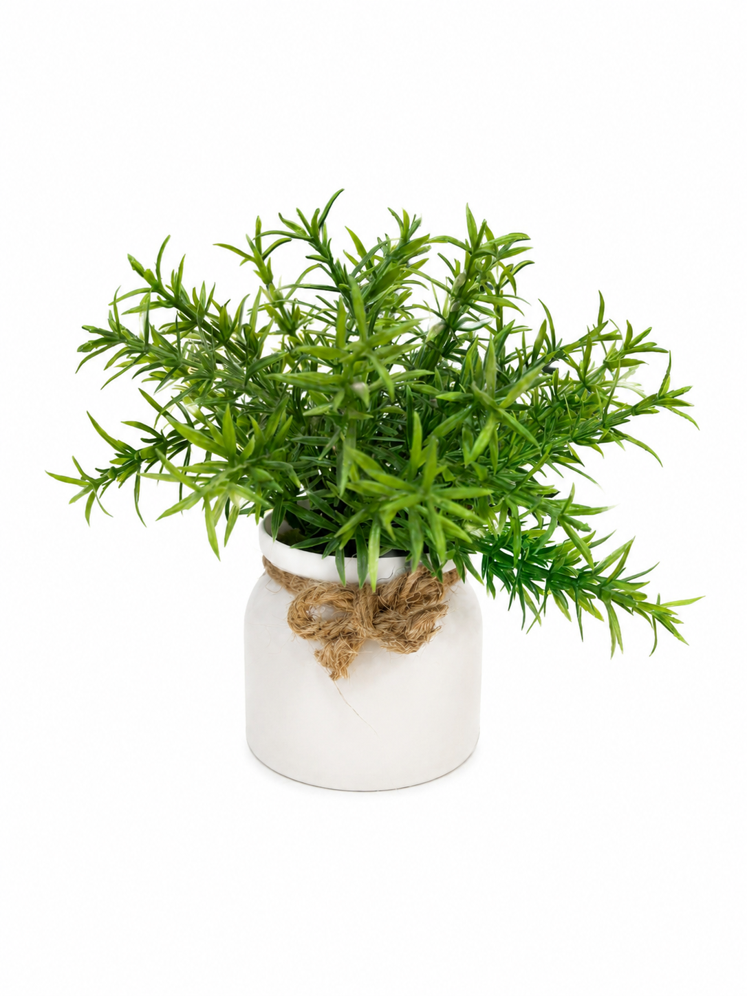 PLANTERA DECO C/PLANTA 14X8CM 136887