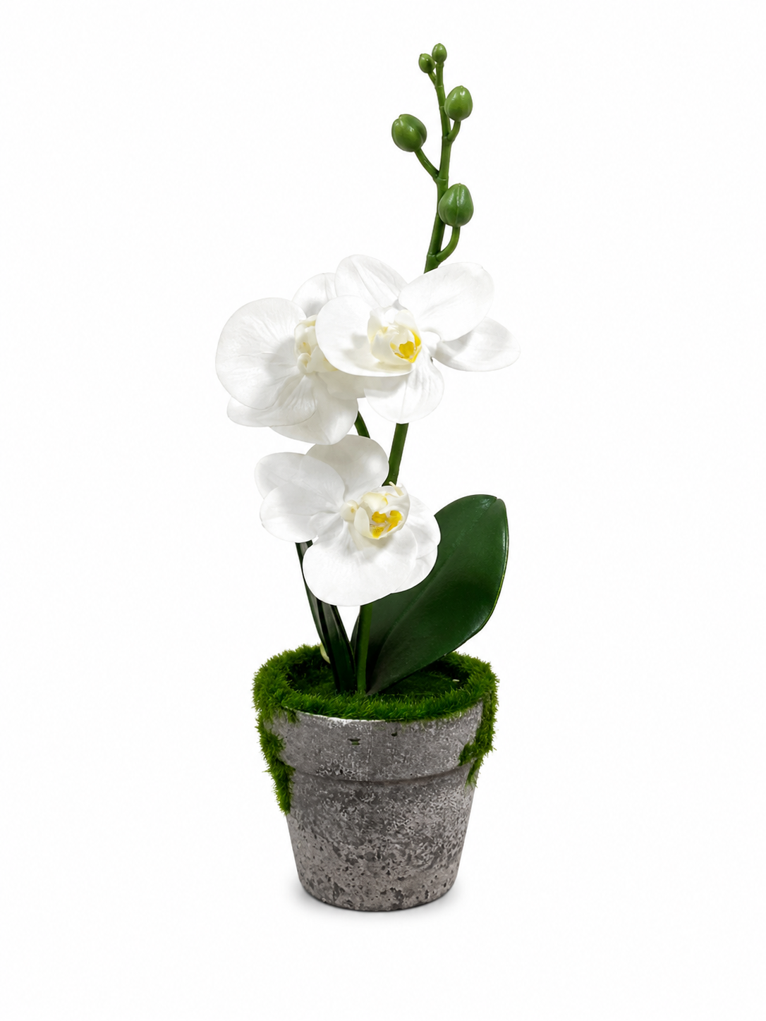 PLANTERA DECO C/PLANTA ORQUIDEA 143312