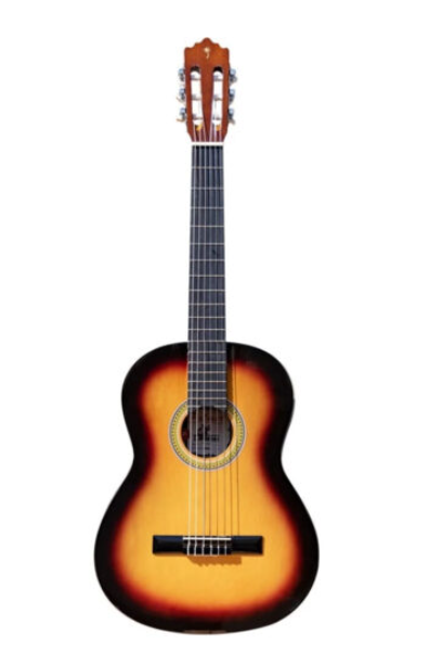 PALMER GUITARRA CLASICA PC13-VS